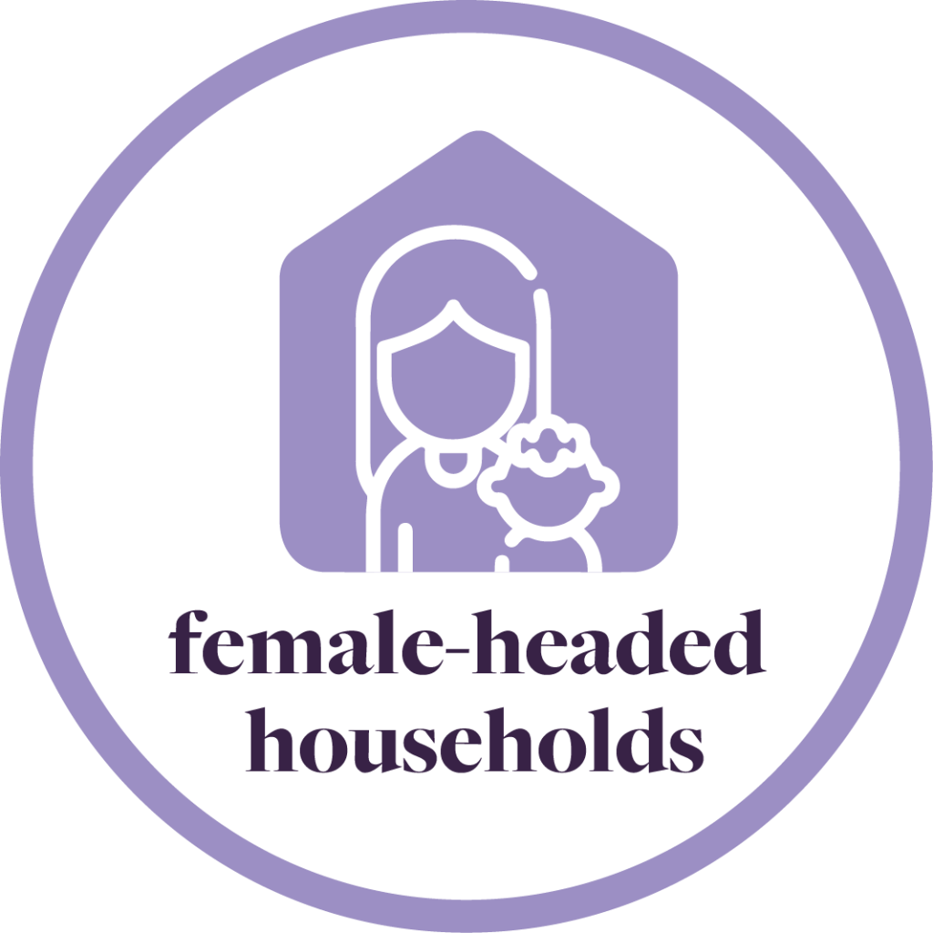Female-Headed Households