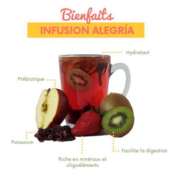Edible Dried Fruit Alegria Infusion Tea | Alibu