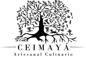 Creator Ceimaya Icon