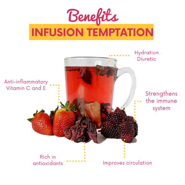 Alibu - Dried Fruit Temptation Infusion Tea